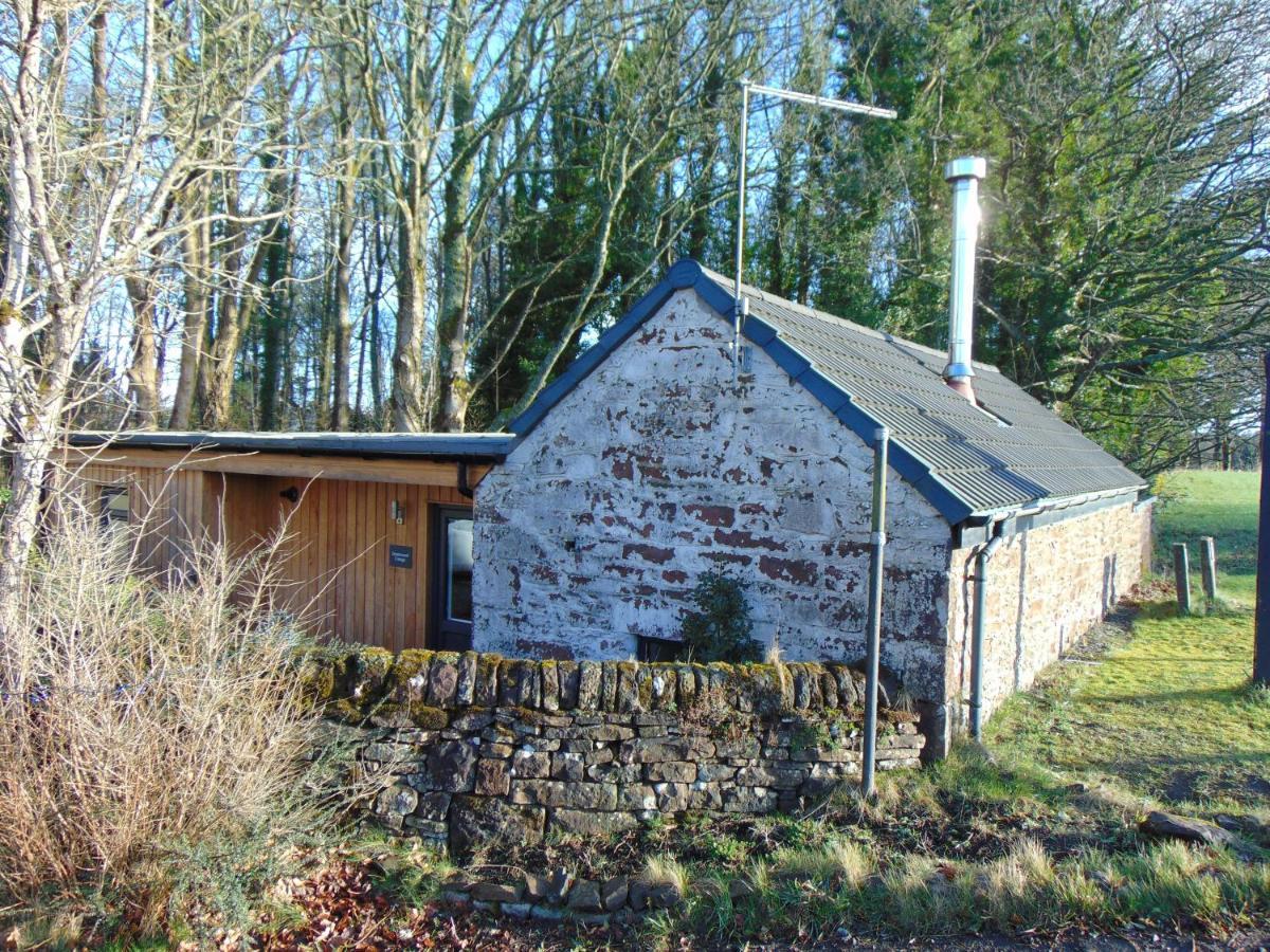 Dreamwood Cottage, Loch Lomond, Luxury Apartment. Glasgow Exterior foto